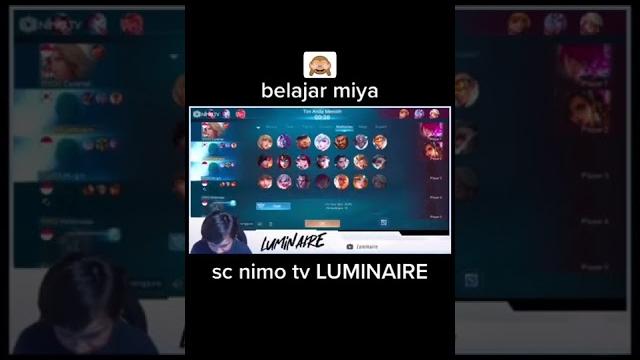 Luminaire sarkasin blunder lemon Luminaire sarkasin blunder lemon