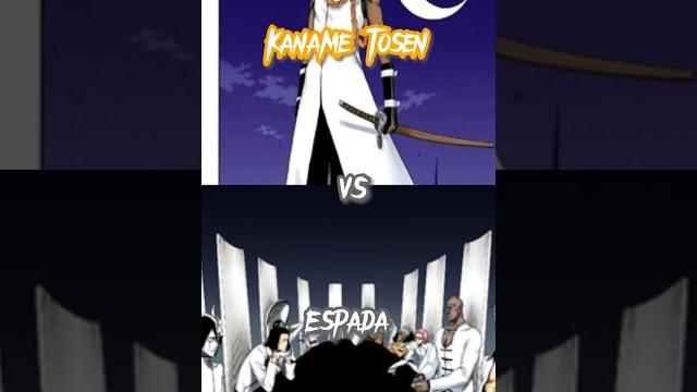 Kaname tosen vs the espada Kaname tosen vs the espada
