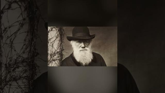 November 24, 1859: charles darwin publishes his book on the "origin of species" | firstpost rewind November 24, 1859: charles darwin publishes his book on the "origin of species" | firstpost rewind