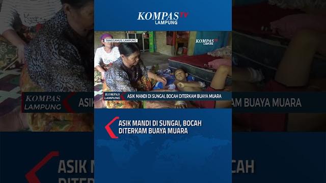Asik mandi di sungai, bocah diterkam buaya muara Asik mandi di sungai, bocah diterkam buaya muara