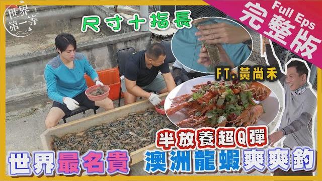 【中台灣】山野職人 瘋狂築夢|大來賓好朋友黃尚禾/狂吃名貴澳洲龍蝦/上樹摘錫蘭綠鑽石/柴燒頂級24小石熬煮雞精/一甲子鹼粽冰《世界第一等》1038集完整版taiwan full ep. 1038 【中台灣】山野職人 瘋狂築夢|大來賓好朋友黃尚禾/狂吃名貴澳洲龍蝦/上樹摘錫蘭綠鑽石/柴燒頂級24小石熬煮雞精/一甲子鹼粽冰《世界第一等》1038集完整版taiwan full ep. 1038