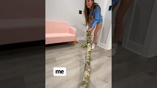 When you find the best stick When you find the best stick