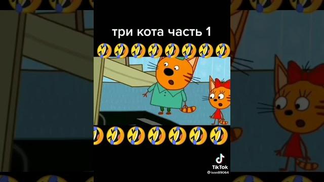 Три кота в tik tok ~ часть 1 Три кота в tik tok ~ часть 1