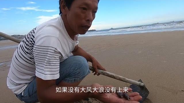 海边宝贝真不少,阿雄来赶海挖到爆桶,回家炒了一锅极品美味 海边宝贝真不少,阿雄来赶海挖到爆桶,回家炒了一锅极品美味