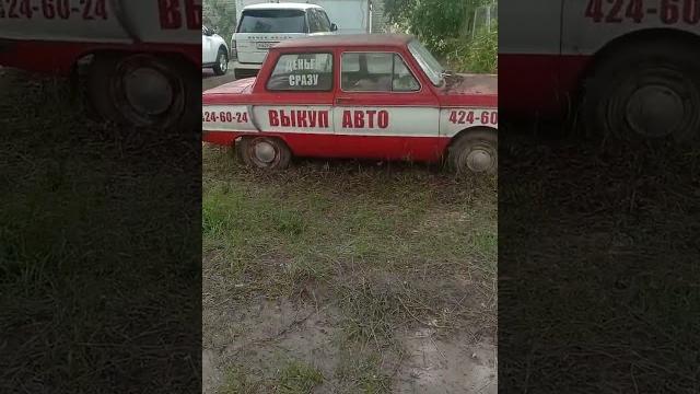 Его самого надо выкупить в добрые руки. Его самого надо выкупить в добрые руки.