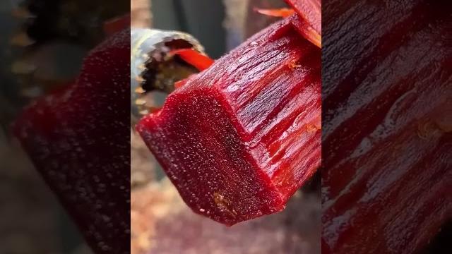 Red chandan /लाल चंदन#shortsvideo #trending #viral #akhilvlogs Red chandan /लाल चंदन#shortsvideo #trending #viral #akhilvlogs