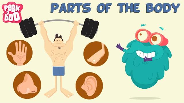 Parts of the body | the dr. binocs show | learn videos for kids Parts of the body | the dr. binocs show | learn videos for kids