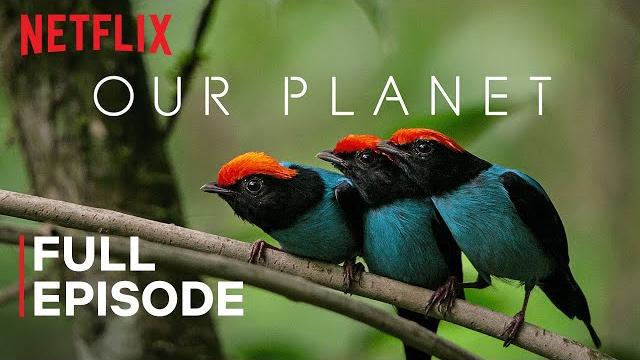 Our planet | one planet | full episode | netflix Our planet | one planet | full episode | netflix