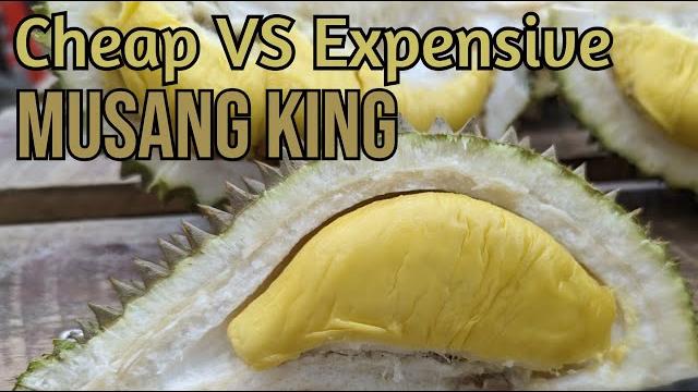 Cheap vs expensive musang king Cheap vs expensive musang king