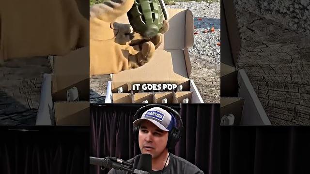 Joe rogan discovers war movies are lies Joe rogan discovers war movies are lies