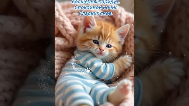 Добрый вечер хорошего вечера открытки на каждый день #открытка #добрый #видеооткрытка #добрыйвечер Добрый вечер хорошего вечера открытки на каждый день #открытка #добрый #видеооткрытка #добрыйвечер