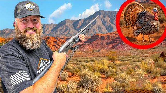 Can i hunt turkey in the desert? Can i hunt turkey in the desert?