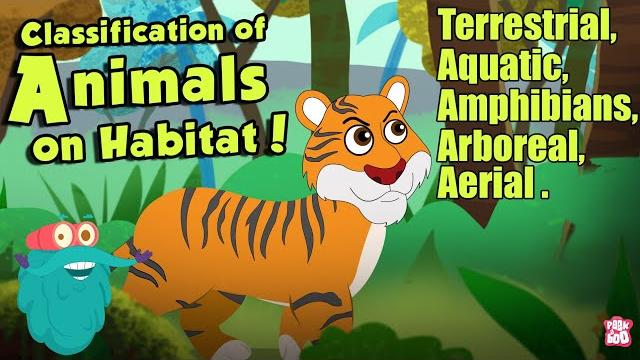 Habitat of animals | classification of animals on habitat | the dr binocs show | peekaboo kidz Habitat of animals | classification of animals on habitat | the dr binocs show | peekaboo kidz