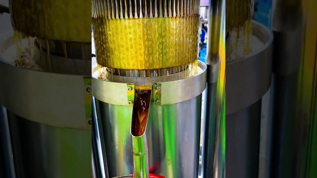 Hydraulic oil press machine to press sesame oil in carton fair complex #oilpress #sesameoil #factory Hydraulic oil press machine to press sesame oil in carton fair complex #oilpress #sesameoil #factory