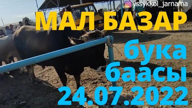 Бука баасы каракол мал базар 24-июль 2022 г. Бука баасы каракол мал базар 24-июль 2022 г.