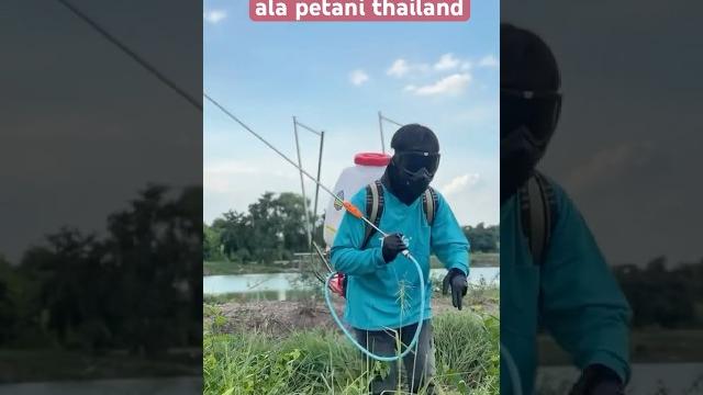 Petani thailand dengan spryer stik panjang #pertanianpadi #petanimodern #sprayerguns #sorts Petani thailand dengan spryer stik panjang #pertanianpadi #petanimodern #sprayerguns #sorts