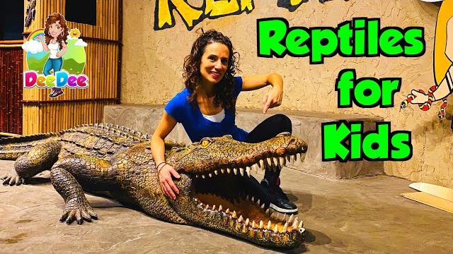 Reptiles for kids | educational videos Reptiles for kids | educational videos