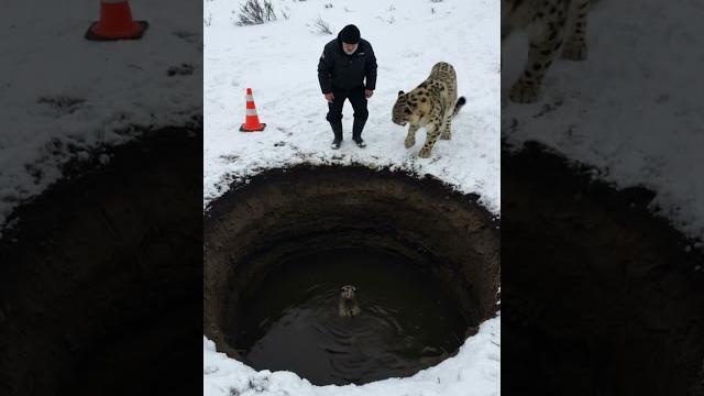 Mother snow leopard saves her cub with the help of an old guy! #animals #rescueanimals #humanity Mother snow leopard saves her cub with the help of an old guy! #animals #rescueanimals #humanity