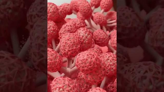 Breastfeeding process in 3d! breastfeeding techniques in newborns #breastfeeding #3danimation Breastfeeding process in 3d! breastfeeding techniques in newborns #breastfeeding #3danimation