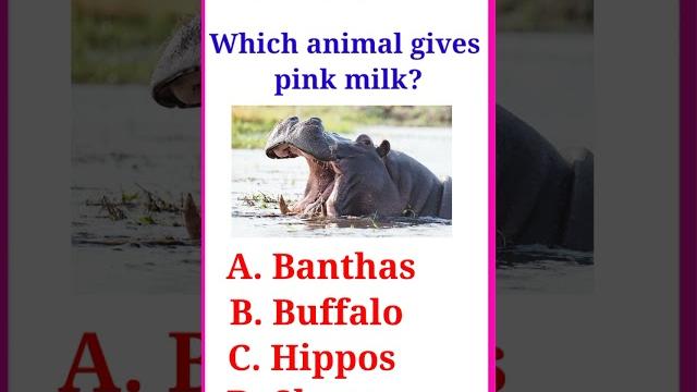 English gk questions | gk english | quiz english | general knowledge english | gk | english quiz | 8 English gk questions | gk english | quiz english | general knowledge english | gk | english quiz | 8