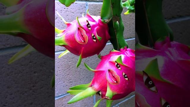 Alifun baa taun sa || naat || beautiful naat || #hasbirabbi #islamicshorts #islamicshorts #haya Alifun baa taun sa || naat || beautiful naat || #hasbirabbi #islamicshorts #islamicshorts #haya