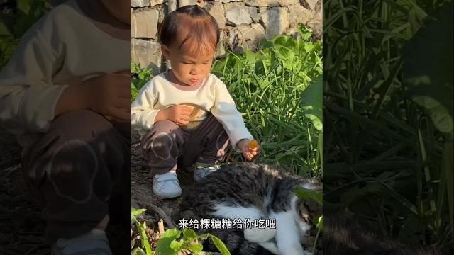 I planted a cat… and grew a tiger?! ️ magic gone wild! I planted a cat… and grew a tiger?! ️ magic gone wild!