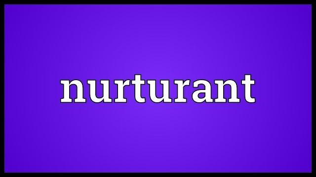 Nurturant meaning Nurturant meaning