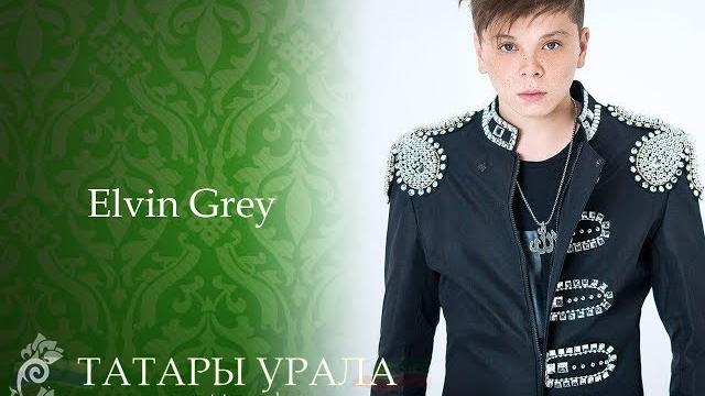 Elvin grey - роза Elvin grey - роза