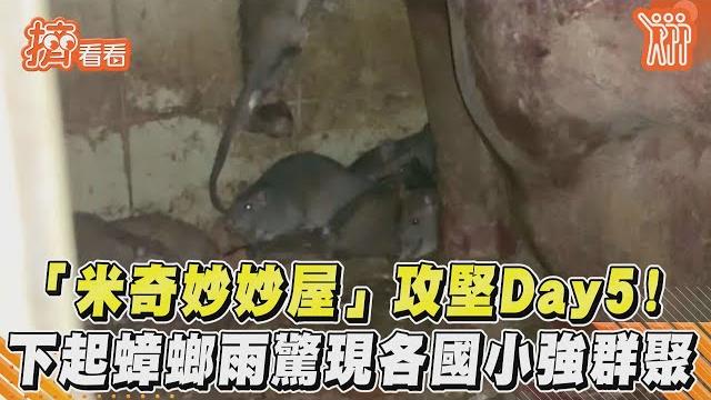 「米奇妙妙屋」攻堅day5! 下起蟑螂雨驚現各國小強群聚|tvbs新聞|擠看看#shorts 「米奇妙妙屋」攻堅day5! 下起蟑螂雨驚現各國小強群聚|tvbs新聞|擠看看#shorts