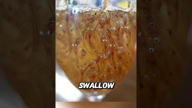 Live fish drink - japanese cuisine #shorts Live fish drink - japanese cuisine #shorts