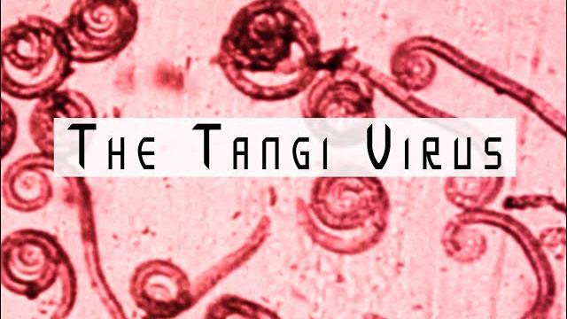 Analog horror - the tangi virus Analog horror - the tangi virus