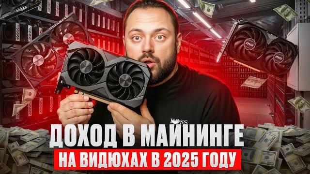 Какой доход в майнинге на видюхах в 2025 году! Какой доход в майнинге на видюхах в 2025 году!