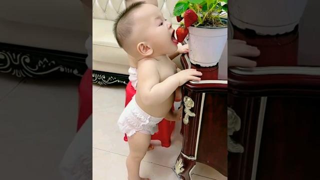 Cute Cute