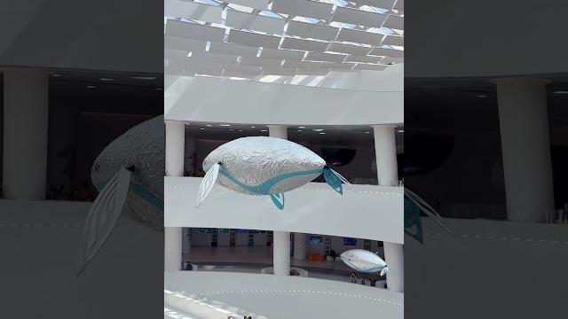 西安科技館的機械飛魚,有種科幻的浪漫 西安科技館的機械飛魚,有種科幻的浪漫