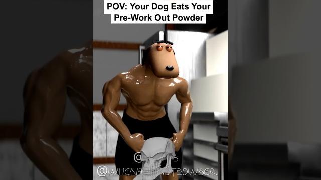 Pov: your dog eats your pre work out powder Pov: your dog eats your pre work out powder