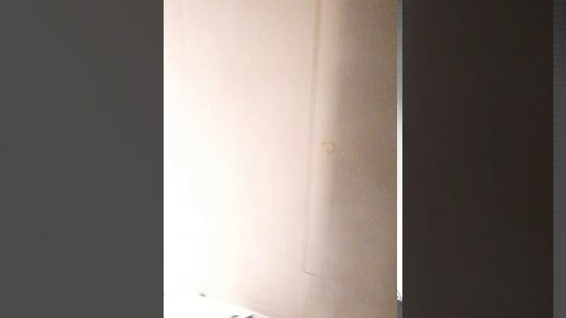 人生的第一次入女廁 人生的第一次入女廁
