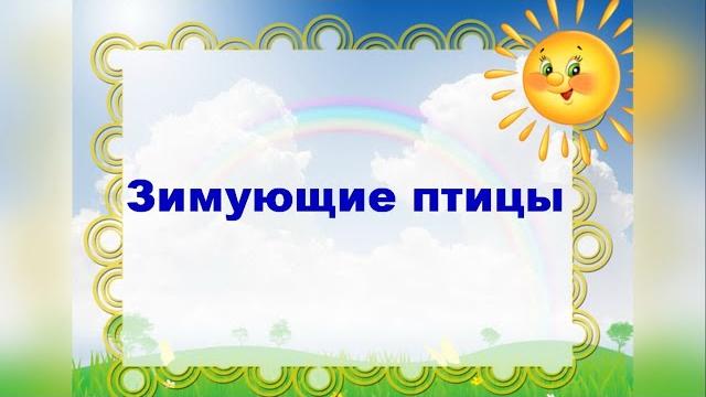 Зимующие птицы Зимующие птицы