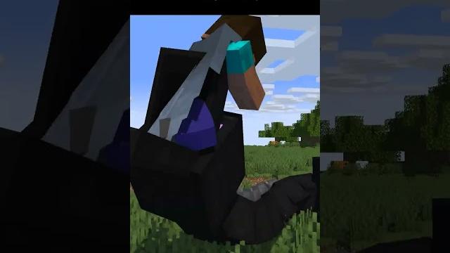 Evolution of ender dragon - minecraft animation Evolution of ender dragon - minecraft animation
