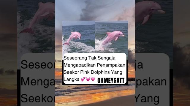 Pinky #fyp #shorts #foryou Pinky #fyp #shorts #foryou
