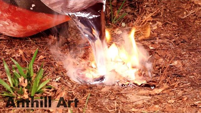 Casting a yellowjacket nest with molten aluminum Casting a yellowjacket nest with molten aluminum