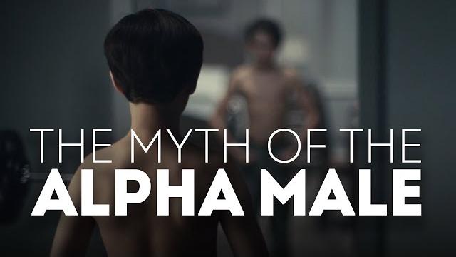 The myth of the alpha male The myth of the alpha male