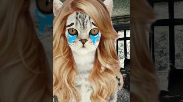 Оригинал идеи @локи мур Оригинал идеи @локи мур