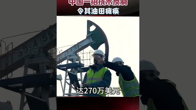 尼日成白眼狼,中國一招技術反制,令其油田癱瘓吃不了兜著走 #真實事件 #尼日 #油田 #歷史 尼日成白眼狼,中國一招技術反制,令其油田癱瘓吃不了兜著走 #真實事件 #尼日 #油田 #歷史