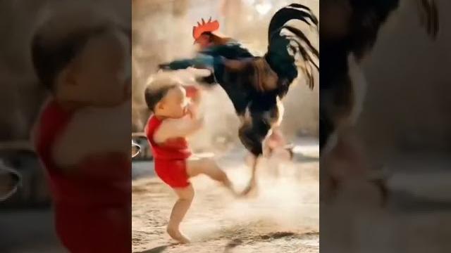 Kid vs cock #kid #cock #funny #ai Kid vs cock #kid #cock #funny #ai