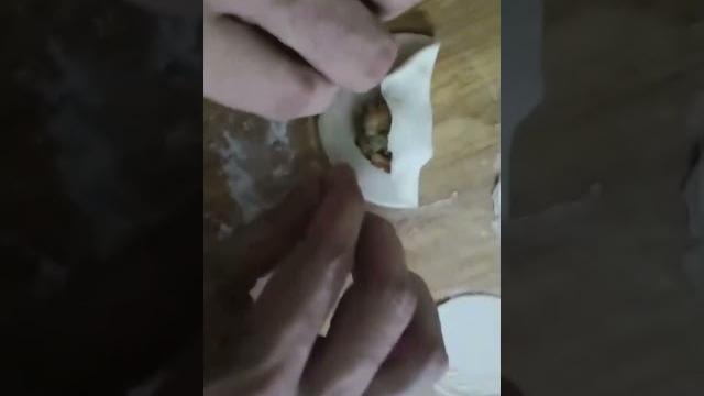 Home made dumplings (momos) ||call me mesu #mesu #callmemesu #shorts #viral #followme #foryou #fyp Home made dumplings (momos) ||call me mesu #mesu #callmemesu #shorts #viral #followme #foryou #fyp