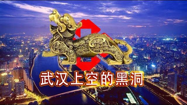 武汉上空的黑洞,慈善机构如貔貅只进不出。 武汉上空的黑洞,慈善机构如貔貅只进不出。
