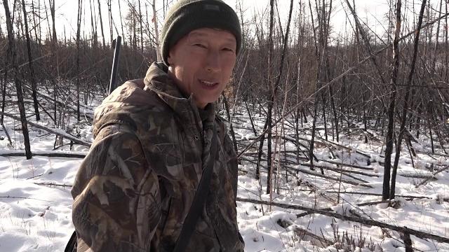 Охота на лося с собакой Охота на лося с собакой