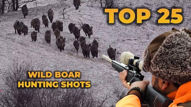 Top 25 wild boar hunting shots Top 25 wild boar hunting shots