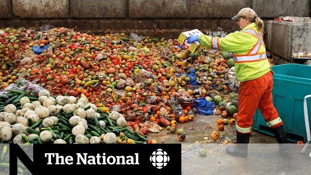 Canadians get creative in solving food waste problem Canadians get creative in solving food waste problem