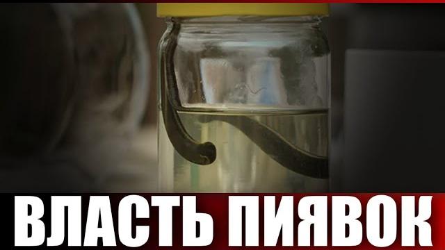 Власть пиявок Власть пиявок